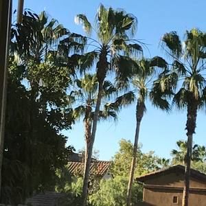 Meet your Posher, Ellen